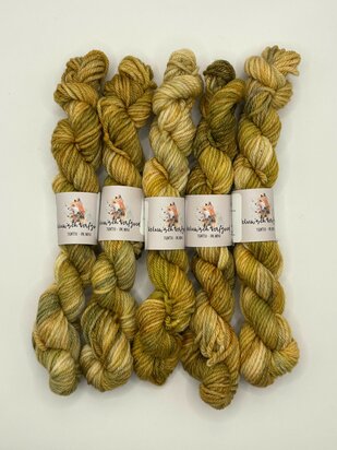 Veluwsch Verfgoed DK mini - Veluwsch flock of sheep