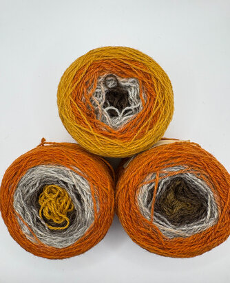 TGWTH & Aade - fingering gradient - Autumn walk