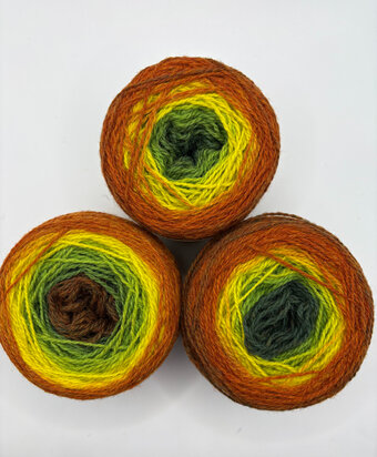 TGWTH & Aade - fingering gradient - Autumn leaves