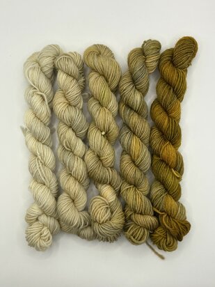 Veluwsch Verfgoed Sock mini fade set  - kleur Sprokkelhout