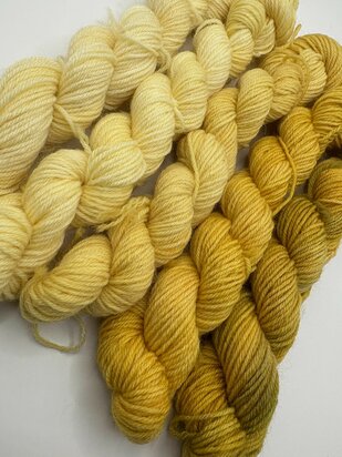Veluwsch Verfgoed Sock mini fade set  - color Hayfields