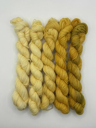 Veluwsch Verfgoed Sock mini fade set  - kleur Graanvelden