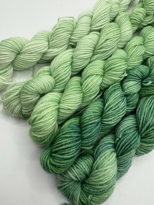 Veluwsch Verfgoed Sock mini fade set  - kleur wilde varens