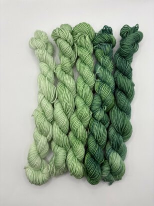 Veluwsch Verfgoed Sock mini fade set  - kleur wilde varens