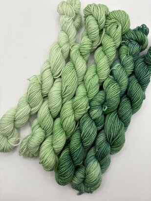 Veluwsch Verfgoed Sock mini fade set  - kleur wilde varens