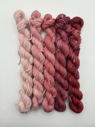 Veluwsch Verfgoed DK mini fade set  - color struikheide dwergspanner