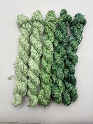 Veluwsch Verfgoed DK mini fade set  - color wild fern