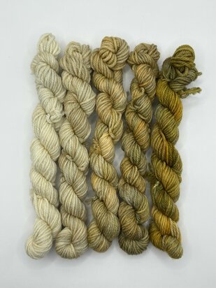 Veluwsch Verfgoed DK mini fade set  - kleur Sprokkelhout