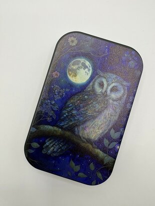 Cadeaublikje - Nacht uil