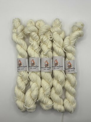 Veluwsch Verfgoed DK mini - Veluwsch snowfield