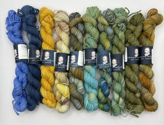 Veluwsch Verfgoed Sock mini - Van gogh color palette