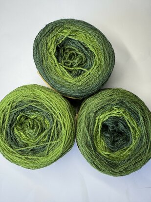 TGWTH & Aade - fingering gradient - Ancient Woods