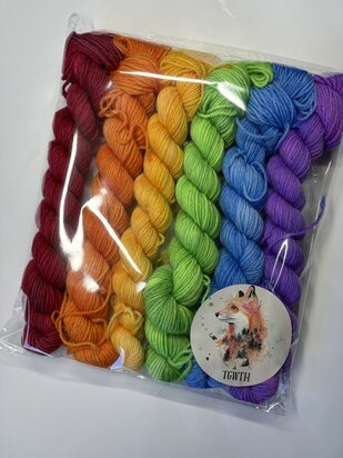 Veluwsch Verfgoed Sock mini set - rainbow