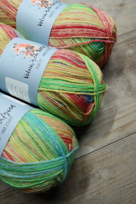 Veluwsch Verfgoed Sock Stripe - rainbow colors