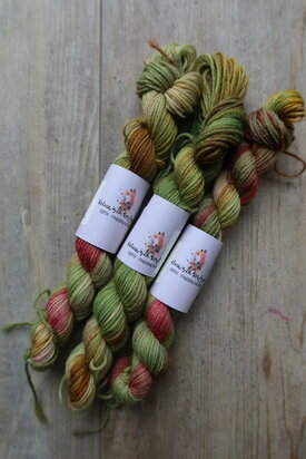 Veluwsch Verfgoed Sock mini  - color of the month October 2026 - Veluwsch Fall
