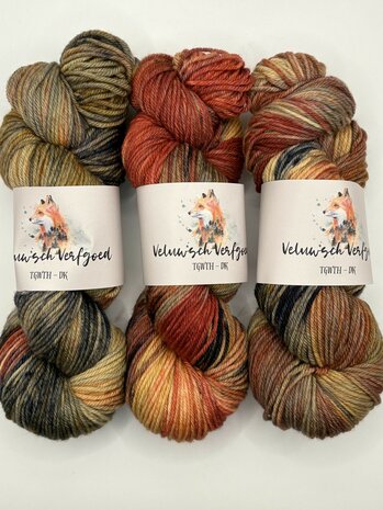 Veluwsch Verfgoed DK - Red deer in autumn forest