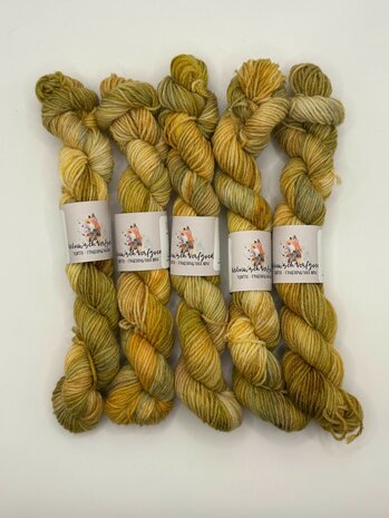 Veluwsch Verfgoed Sock mini  - Veluwsche flock of sheep