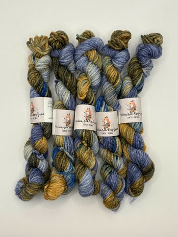 Veluwsch Verfgoed DK mini - Loenense watervallen