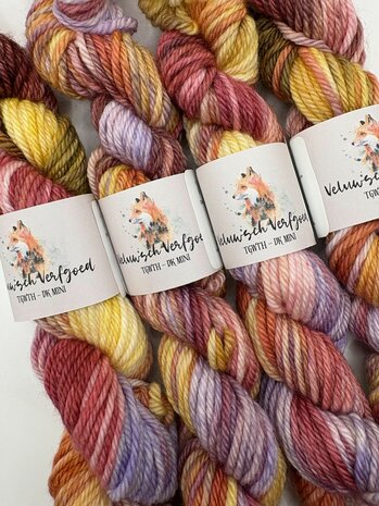 Veluwsch Verfgoed DK mini - Planken Wambuis in de morgen