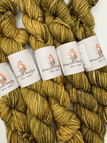 Veluwsch Verfgoed DK mini - Veluwsch squirrel