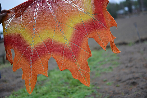 TGWTH & Aade - fingering gradient - Sunburst