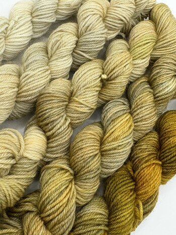 Veluwsch Verfgoed Sock mini fade set  - color Sprokkelhout