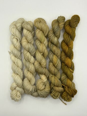 Veluwsch Verfgoed Sock mini fade set  - color Sprokkelhout