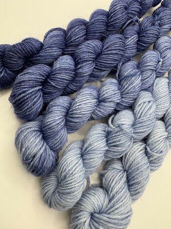 Veluwsch Verfgoed Sock mini fade set  - kleur Veluwemeer