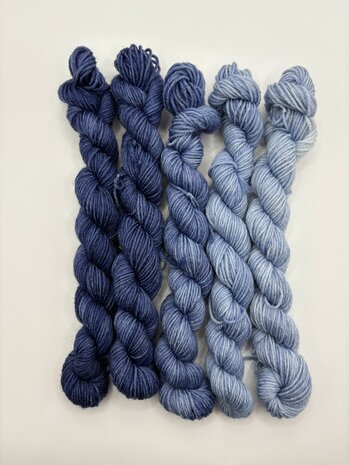 Veluwsch Verfgoed Sock mini fade set  - color Veluwemeer