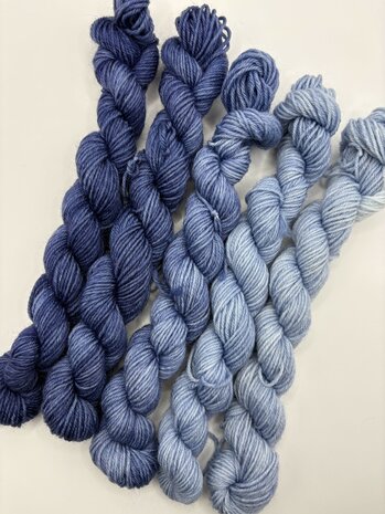 Veluwsch Verfgoed Sock mini fade set  - kleur Veluwemeer