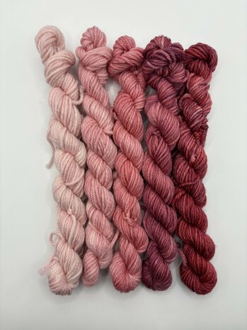 Veluwsch Verfgoed DK mini fade set  - kleur Struikheide dwergspanner