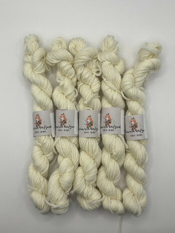 Veluwsch Verfgoed DK mini - Veluwsch snowfield