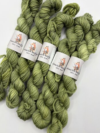 Veluwsch Verfgoed DK mini - Veluwsch moss