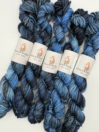 Veluwsch Verfgoed DK mini - het Solse Gat