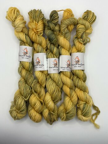 Veluwsch Verfgoed DK mini - the zandverstuiving