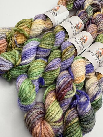 Veluwsch Verfgoed DK mini  - kleur van de maand Maart 2026 - Krokus