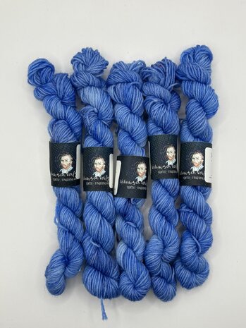 Veluwsch Verfgoed Sock mini - Saint Remy clouds