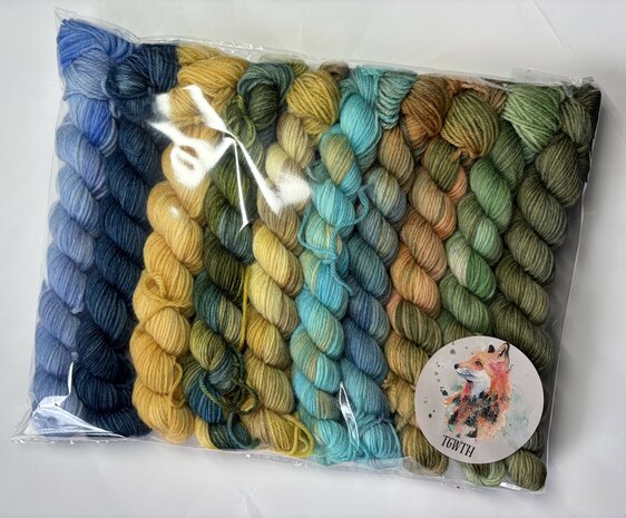 Veluwsch Verfgoed Sock mini  - Van gogh kleurenpalet