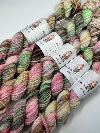 Veluwsch Verfgoed DK mini  - kleur van de maand April 2026 - Bloesem