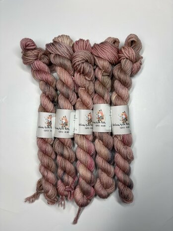 Veluwsch Verfgoed DK mini - Mientje Vos