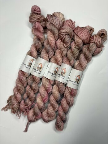 Veluwsch Verfgoed DK mini - Mientje Vos