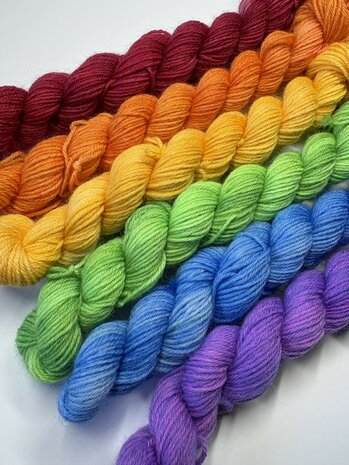 Veluwsch Verfgoed Sock mini set - rainbow