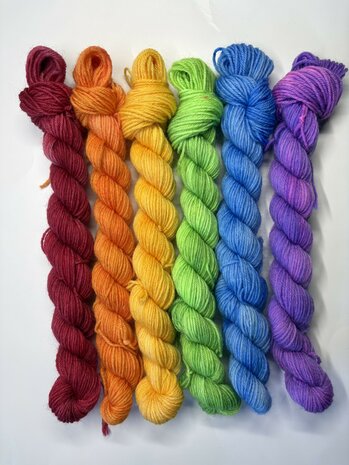 Veluwsch Verfgoed Sock mini set - rainbow