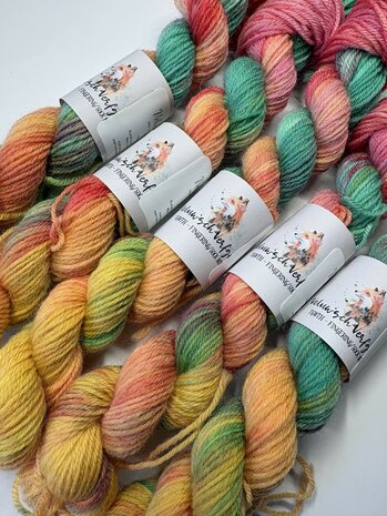 Veluwsch Verfgoed Sock mini  - color of the month May 2026 - Veluwsche friends - Mike's creative world