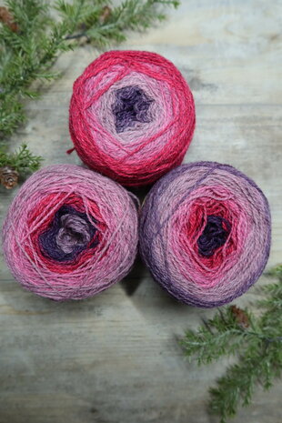 TGWTH & Aade - fingering gradient - Fuchsia