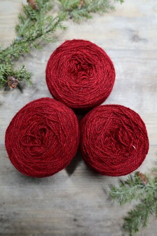 TGWTH & Aade - fingering uni - Berry Red