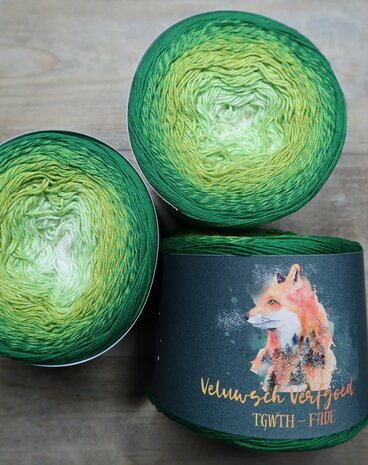 Veluwsch Verfgoed Fade - old forest