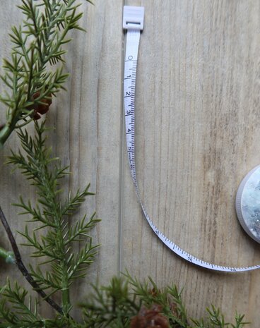 Meetlint zeezicht