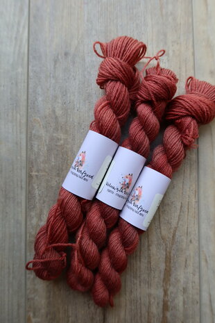 Veluwsch Verfgoed Sock mini - Veluwsch Red Squirrel
