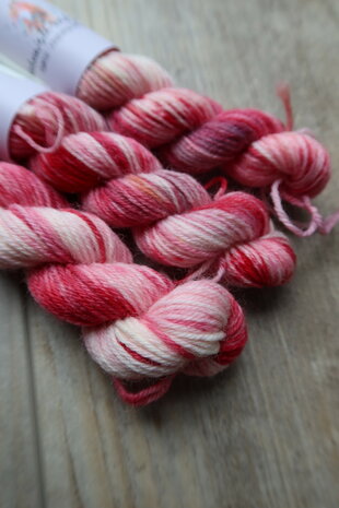 Veluwsch Verfgoed Sock mini - Veluwsche vliegenzwam